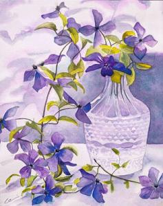 Clematis