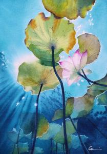 Confine liquido