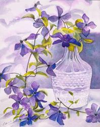 Clematis