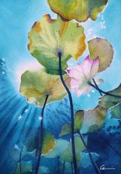Confine liquido